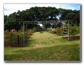 Parnell-Suburb-Auckland-North-Island-New-Zealand-012