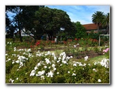 Parnell-Suburb-Auckland-North-Island-New-Zealand-014