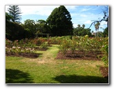 Parnell-Suburb-Auckland-North-Island-New-Zealand-019