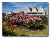 Parnell-Suburb-Auckland-North-Island-New-Zealand-023