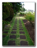 Parnell-Suburb-Auckland-North-Island-New-Zealand-025