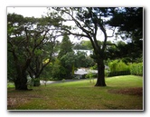 Parnell-Suburb-Auckland-North-Island-New-Zealand-036