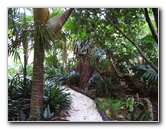 Parnell-Suburb-Auckland-North-Island-New-Zealand-038