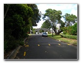 Parnell-Suburb-Auckland-North-Island-New-Zealand-039