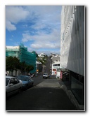 Parnell-Suburb-Auckland-North-Island-New-Zealand-043