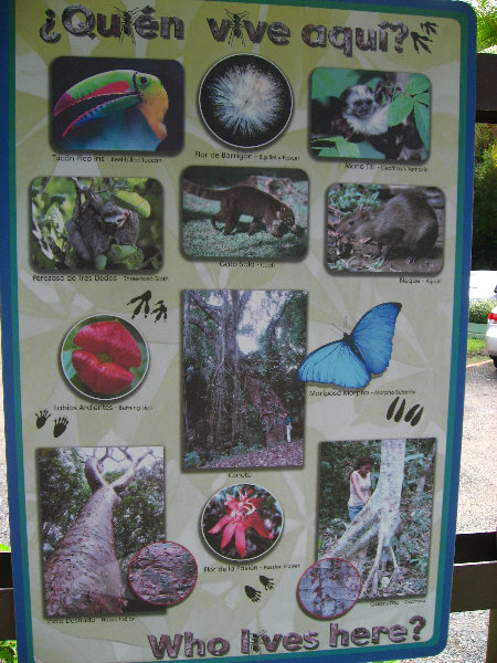Parque-Natural-Metropolitano-Panama-City-018