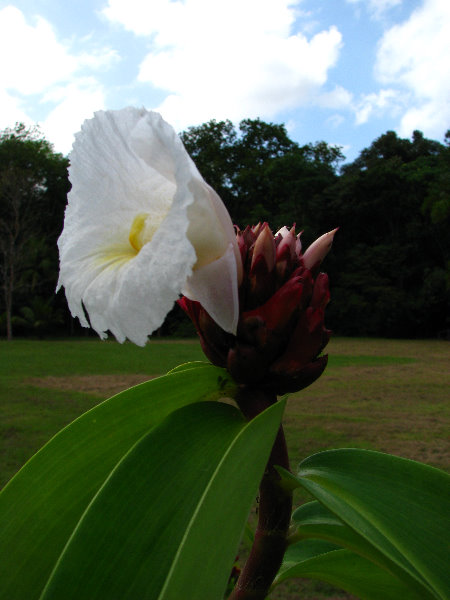 Parque-Natural-Metropolitano-Panama-City-021