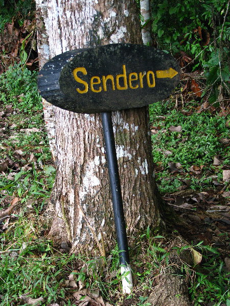 Parque-Natural-Metropolitano-Panama-City-023