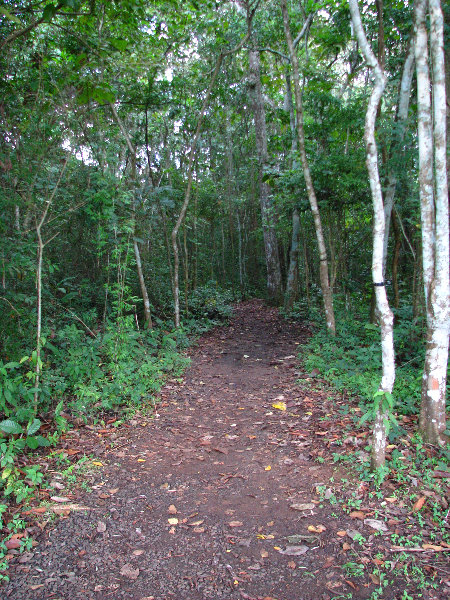 Parque-Natural-Metropolitano-Panama-City-026