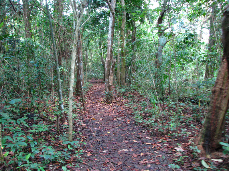 Parque-Natural-Metropolitano-Panama-City-027
