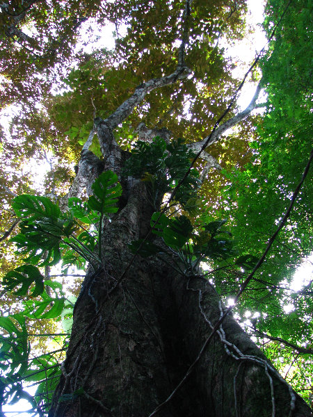 Parque-Natural-Metropolitano-Panama-City-029