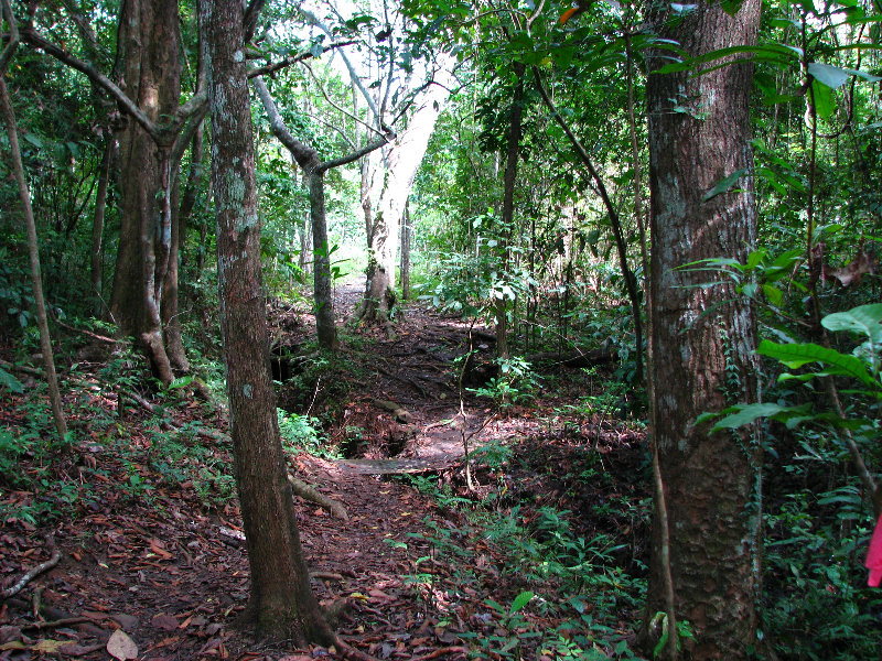 Parque-Natural-Metropolitano-Panama-City-031
