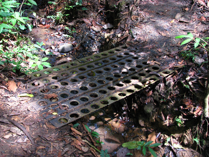 Parque-Natural-Metropolitano-Panama-City-032
