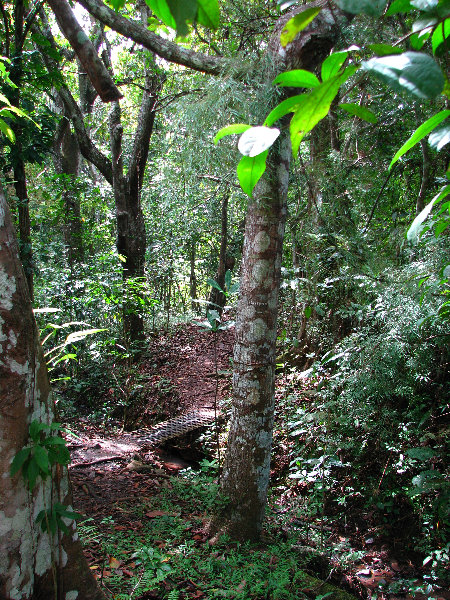 Parque-Natural-Metropolitano-Panama-City-033