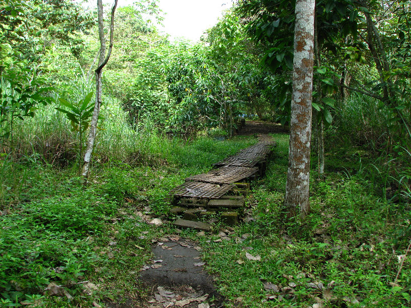 Parque-Natural-Metropolitano-Panama-City-034