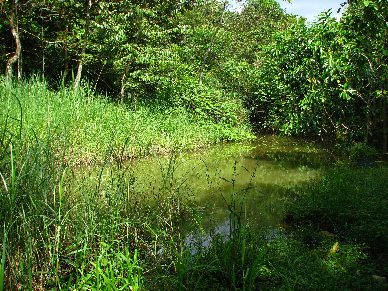 Parque-Natural-Metropolitano-Panama-City-036