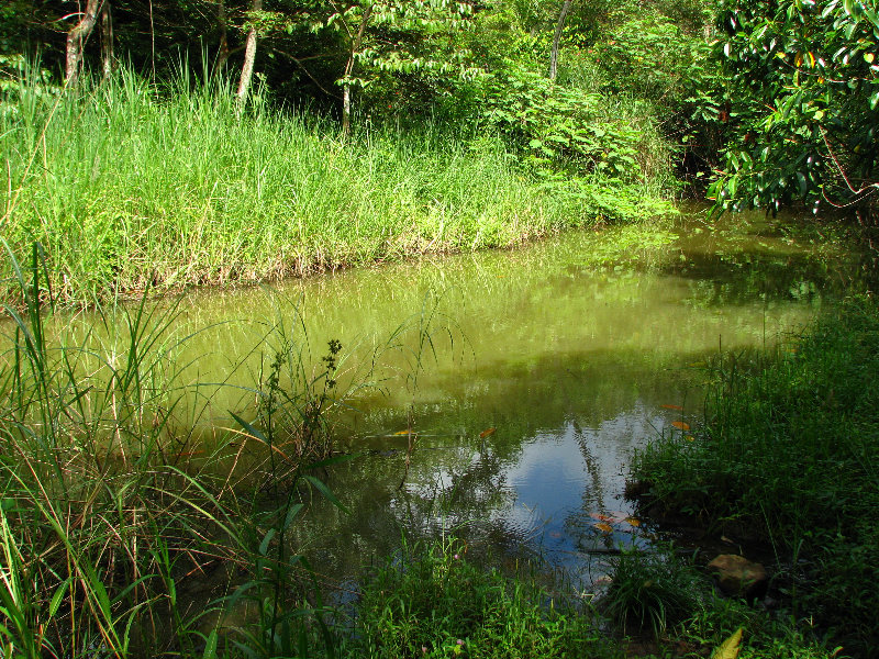 Parque-Natural-Metropolitano-Panama-City-037