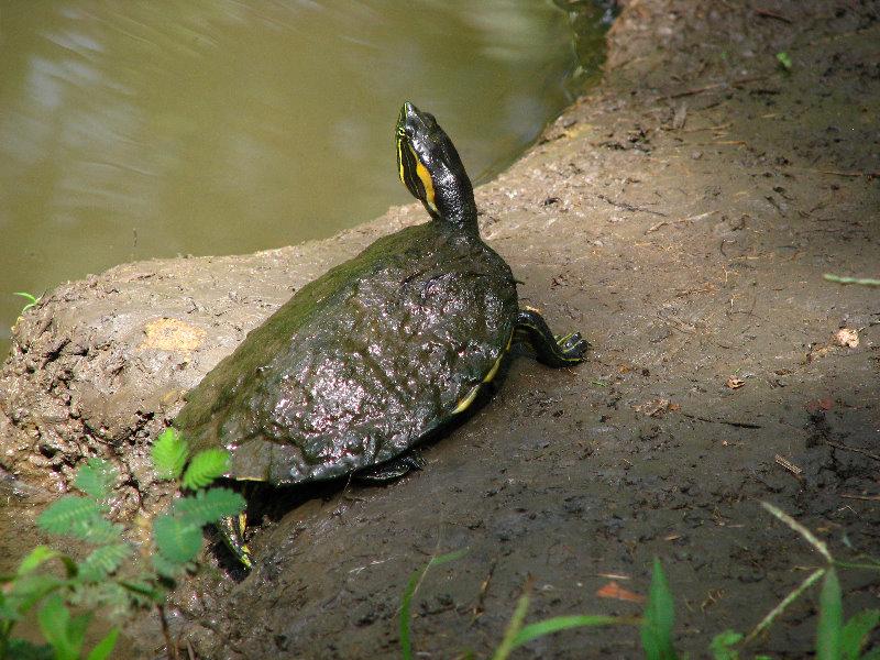 Parque-Natural-Metropolitano-Panama-City-038