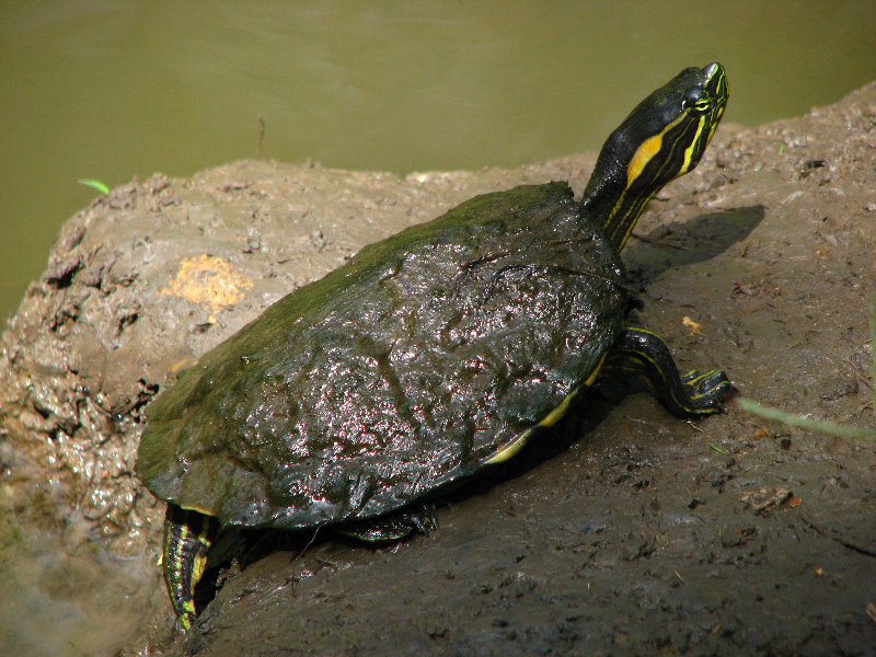 Parque-Natural-Metropolitano-Panama-City-039