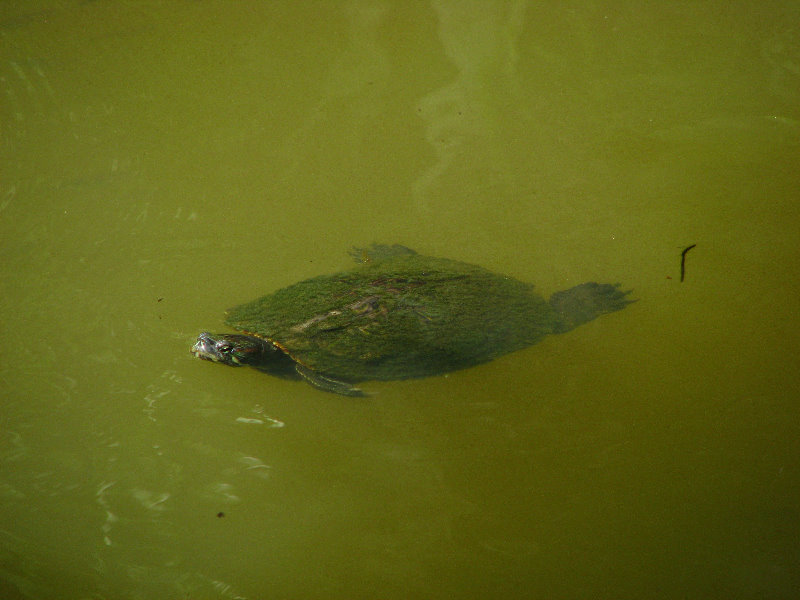 Parque-Natural-Metropolitano-Panama-City-040