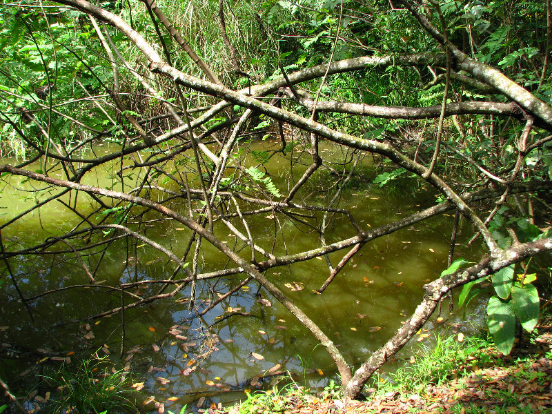 Parque-Natural-Metropolitano-Panama-City-041