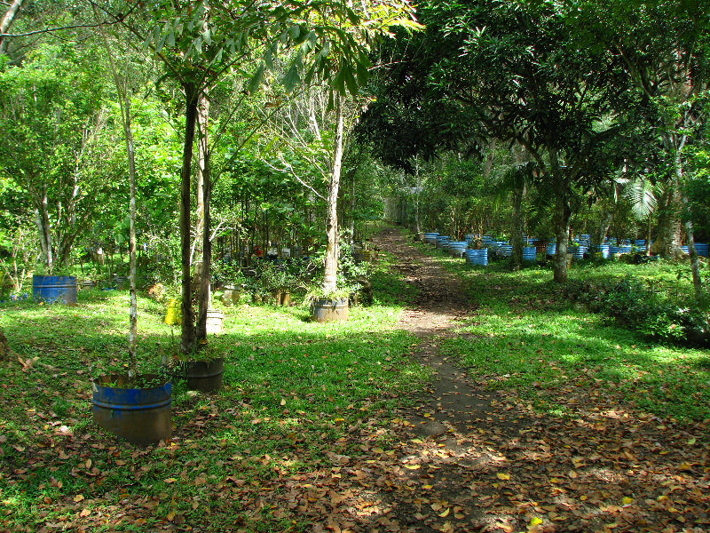 Parque-Natural-Metropolitano-Panama-City-042