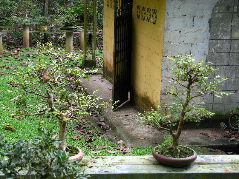 Parque-Natural-Metropolitano-Panama-City-049