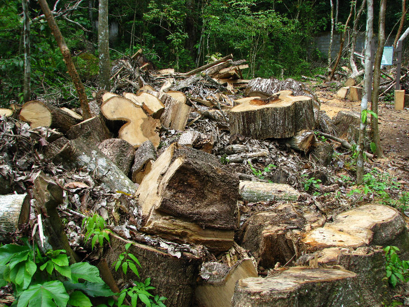 Parque-Natural-Metropolitano-Panama-City-050