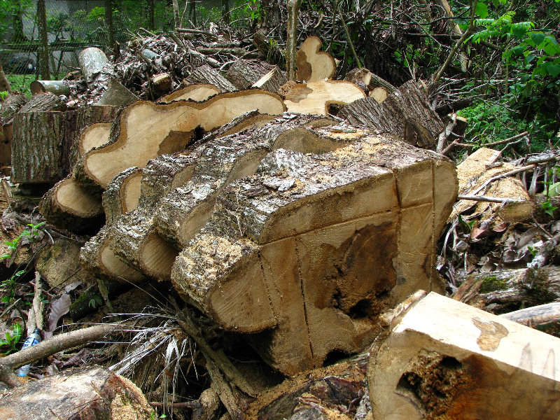 Parque-Natural-Metropolitano-Panama-City-051
