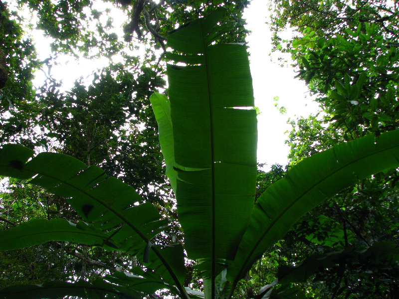 Parque-Natural-Metropolitano-Panama-City-057