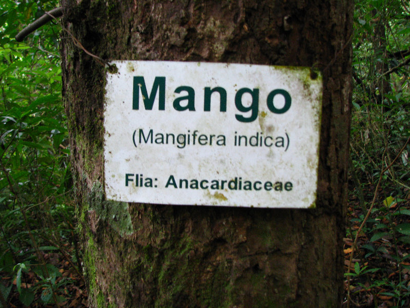 Parque-Natural-Metropolitano-Panama-City-059