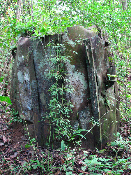 Parque-Natural-Metropolitano-Panama-City-062
