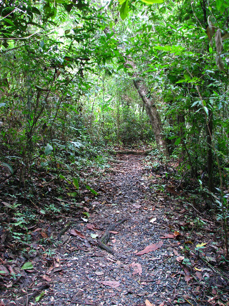 Parque-Natural-Metropolitano-Panama-City-065