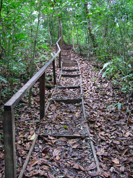 Parque-Natural-Metropolitano-Panama-City-067
