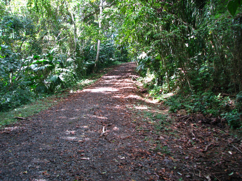 Parque-Natural-Metropolitano-Panama-City-080