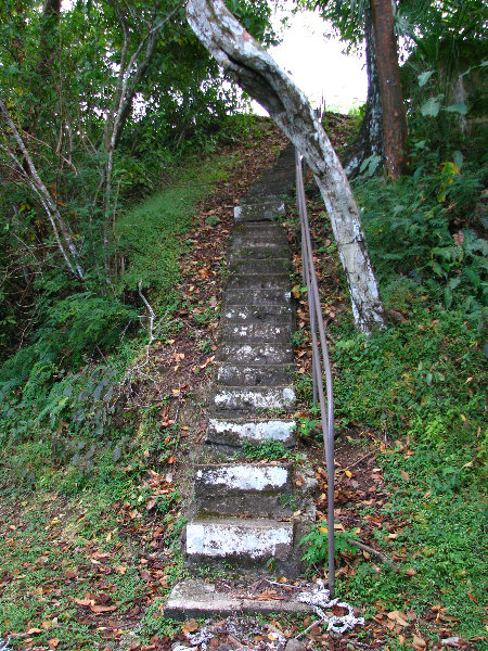 Parque-Natural-Metropolitano-Panama-City-093