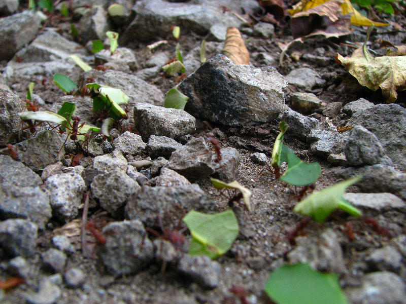 Parque-Natural-Metropolitano-Panama-City-112