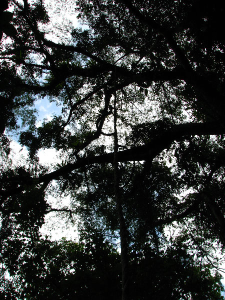 Parque-Natural-Metropolitano-Panama-City-115