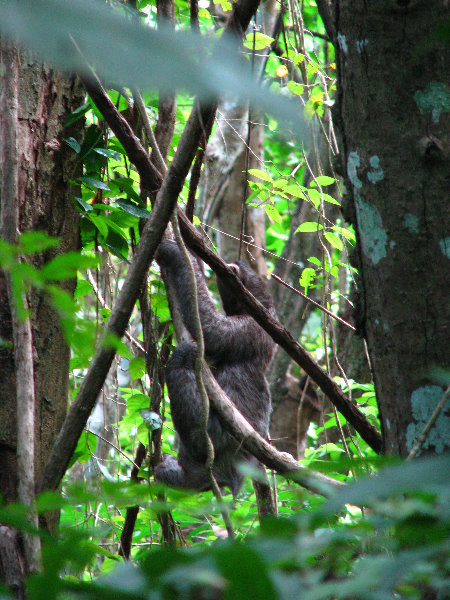 Parque-Natural-Metropolitano-Panama-City-118