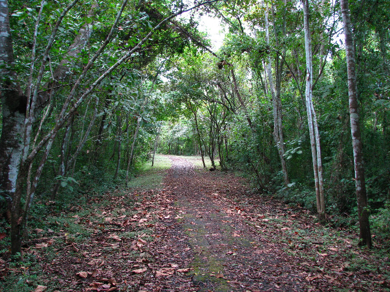 Parque-Natural-Metropolitano-Panama-City-120