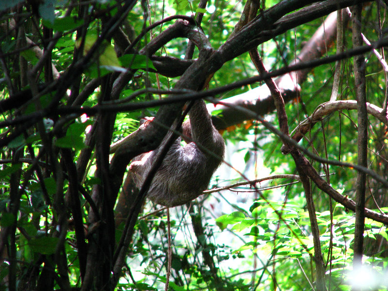 Parque-Natural-Metropolitano-Panama-City-121