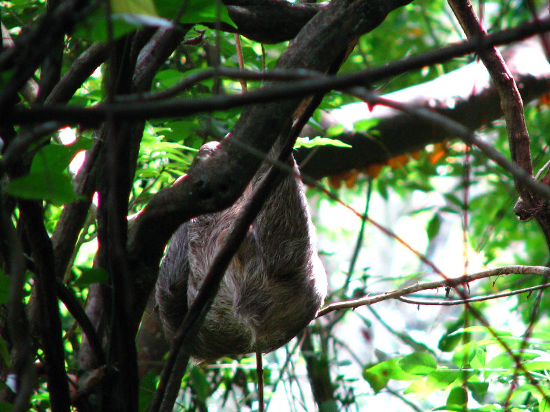 Parque-Natural-Metropolitano-Panama-City-122
