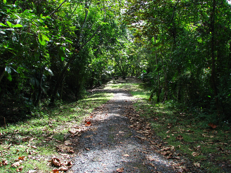 Parque-Natural-Metropolitano-Panama-City-123