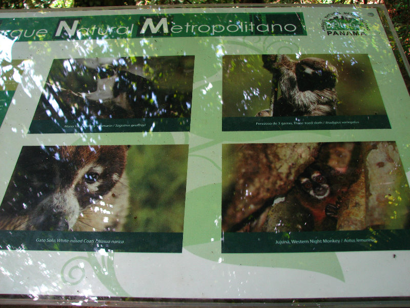 Parque-Natural-Metropolitano-Panama-City-124