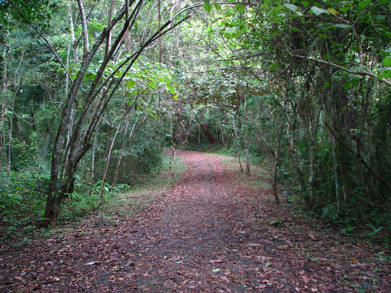 Parque-Natural-Metropolitano-Panama-City-130