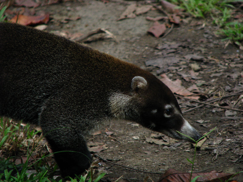 Parque-Natural-Metropolitano-Panama-City-133