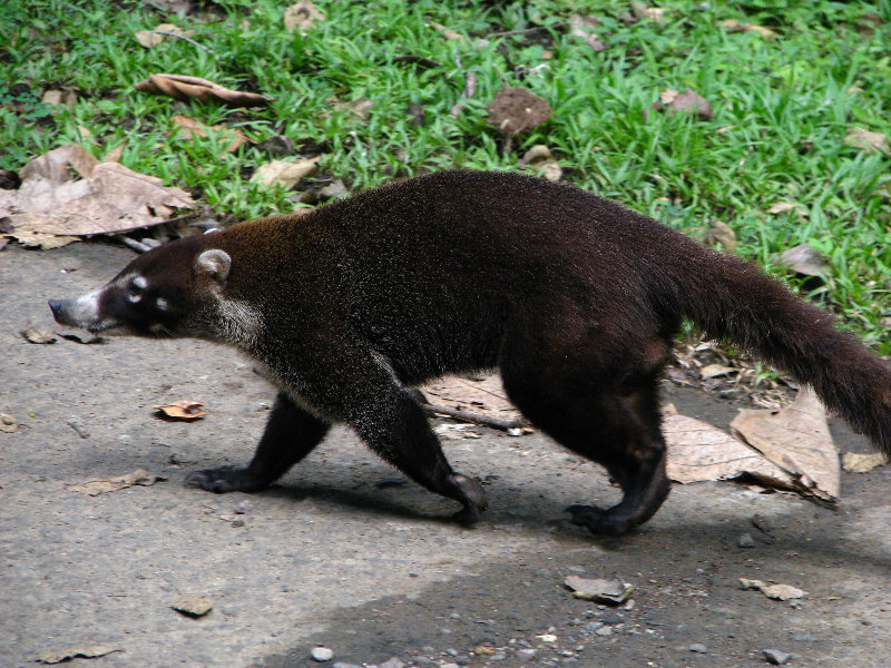 Parque-Natural-Metropolitano-Panama-City-134