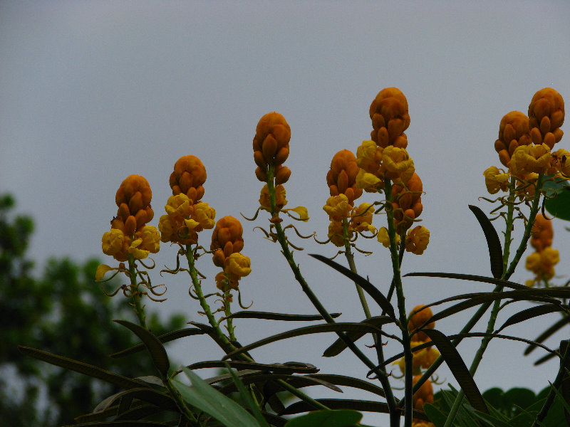 Parque-Natural-Metropolitano-Panama-City-139