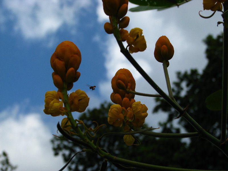 Parque-Natural-Metropolitano-Panama-City-140