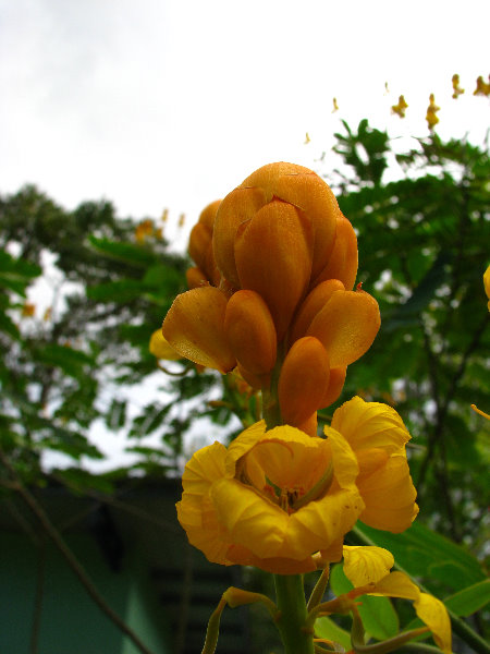 Parque-Natural-Metropolitano-Panama-City-141